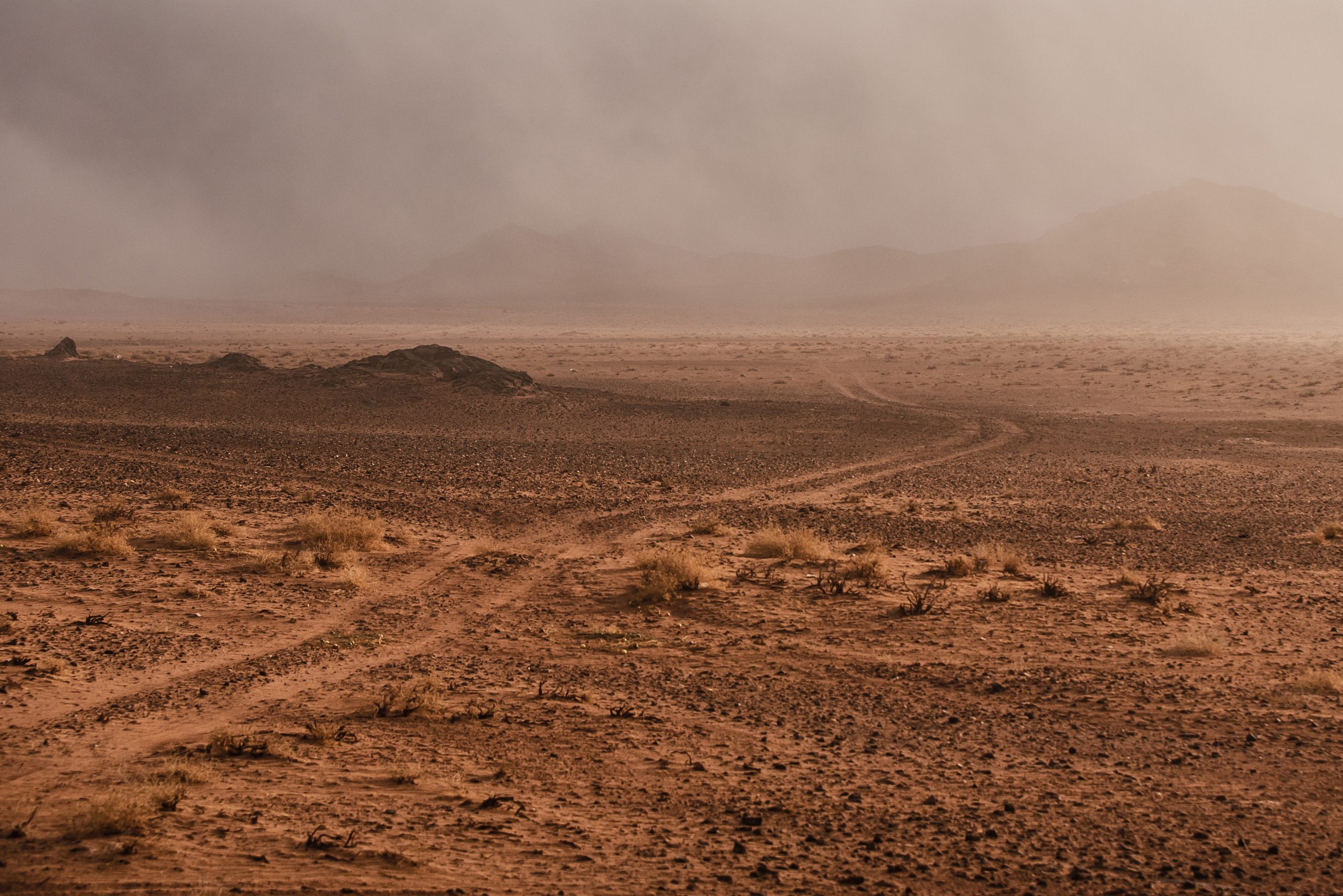 Dakar Rally 2022 in Saudi Arabian desert