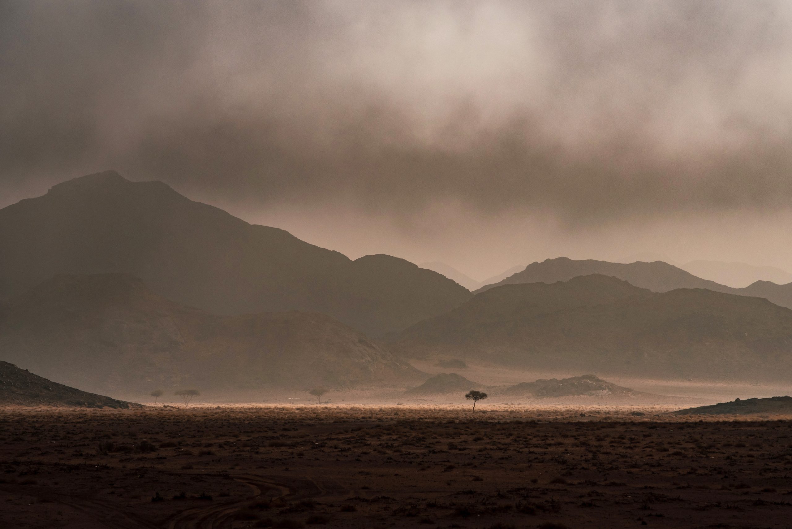 Dakar Rally 2022 in Saudi Arabian desert