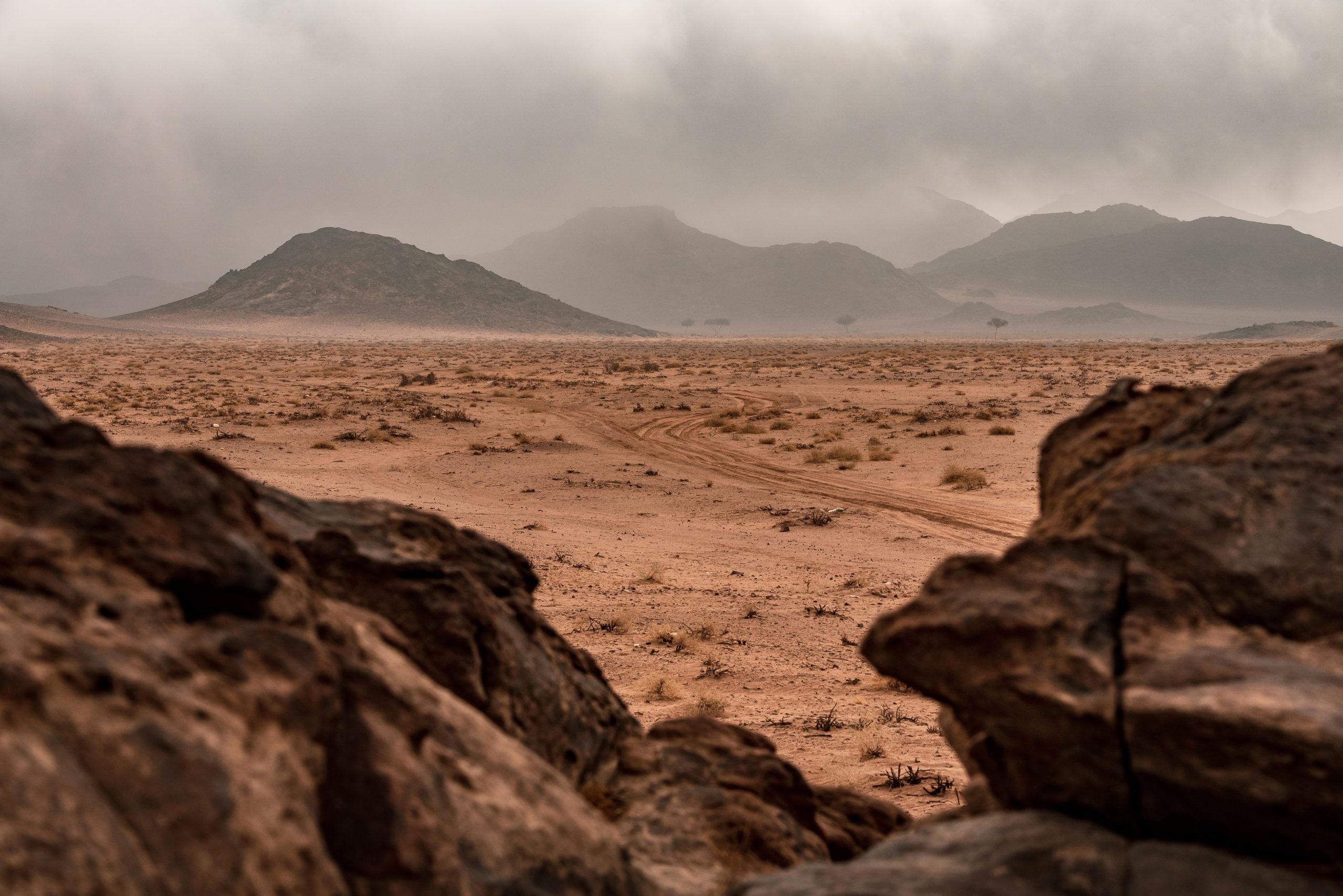 Dakar Rally 2022 in Saudi Arabian desert